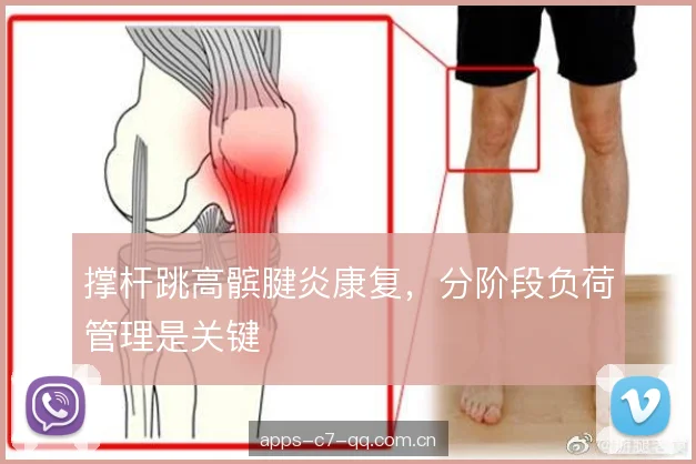 撑杆跳高髌腱炎康复，分阶段负荷管理是关键